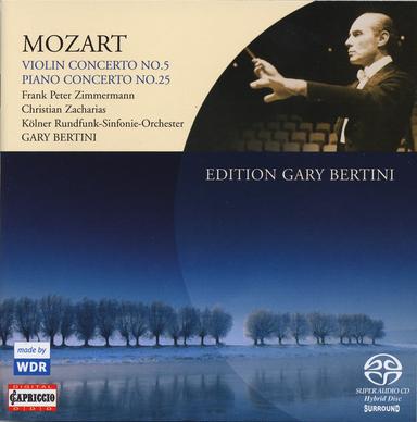 Piano Concerto No. 25 in C Major, K. 503: II. Andante