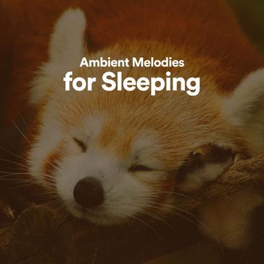 Ambient Melodies for Sleeping, Pt. 20