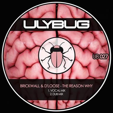 The Reason Why - Vocal Mix