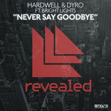 Never Say Goodbye - Original Mix