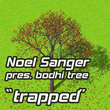 NT