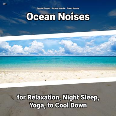 Ocean Sounds to Fall Asleep