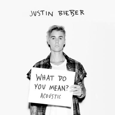 What Do You Mean? - Acoustic