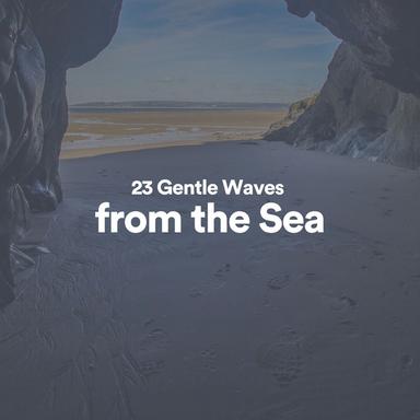 23 Gentle Waves from the Sea