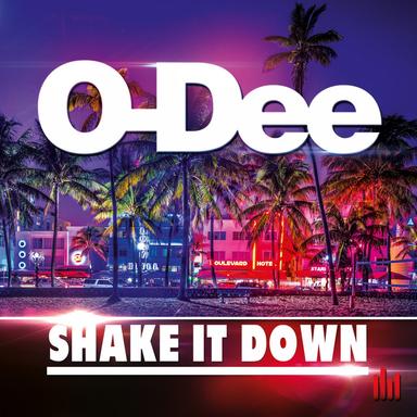 Shake It Down - Extended Mix