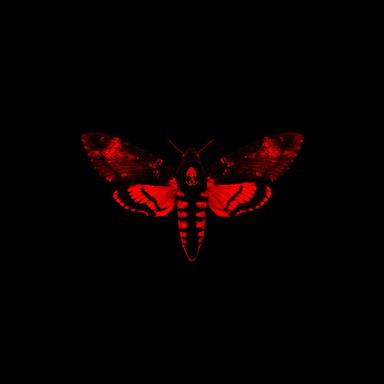 Trigger Finger - Album Version (Edited)