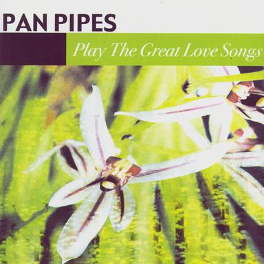 Killing Me Softly With His Song