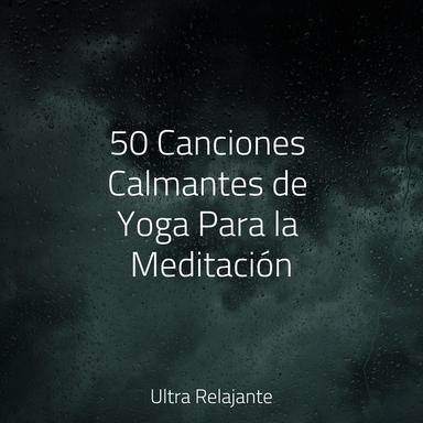 Meditación Relajante