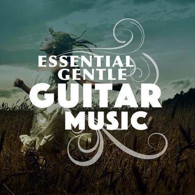 Guitar Intermission