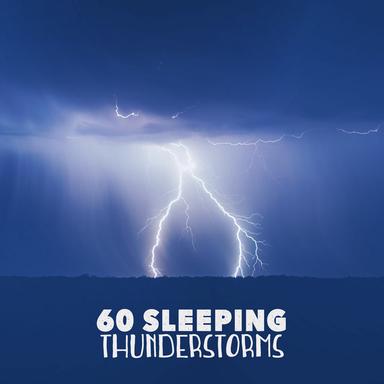 Rain Out in the Woods