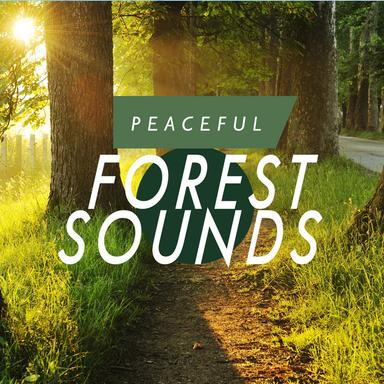 Birds in the Forest