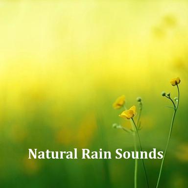 White Noise Rain