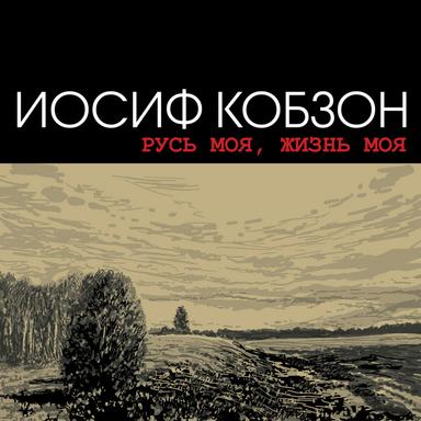 Идут белые снеги