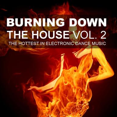 Burning Down The House, Vol. 2 - The Hottest In Electronic Dance Music