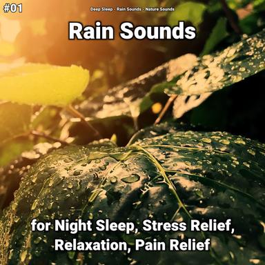 Comforting New Age Sounds