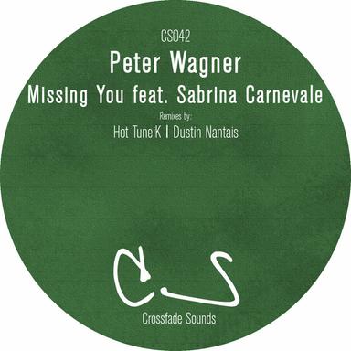Missing You - Dustin Nantais Remix