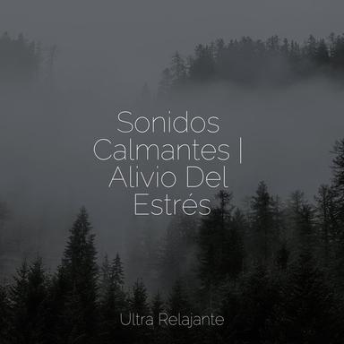 Chakra Equilibrado