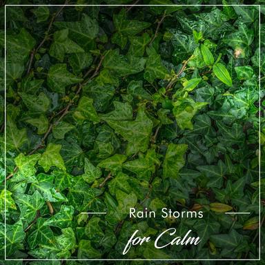 Pink Noise Rain