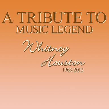 I Wanna Dance With Somebody (Dance Remix)