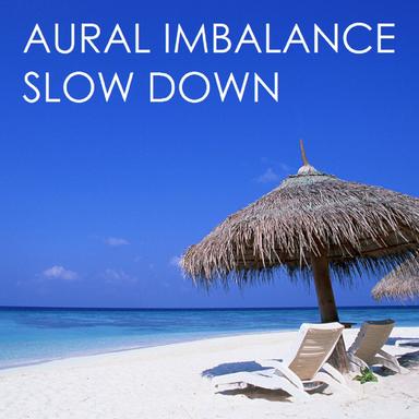 Slow Down - Donald Wilborn's Chilled Mix