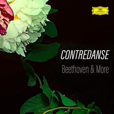 Mazurka in F Minor, Op. Posth. 68: No. 4 Andantino