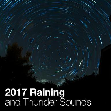 Rain in the Summertime