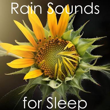 Meditative Showers in the Morning