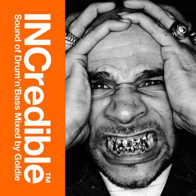 INCredible Sound of Drum'n'Bass Mixed by Goldie