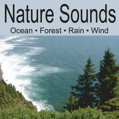 Forest Sounds