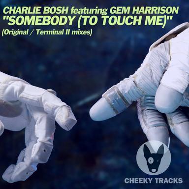 Somebody (To Touch Me) - Terminal II Radio Edit
