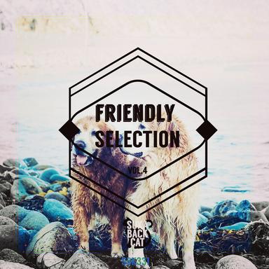 Friendly Selection, Vol. 4
