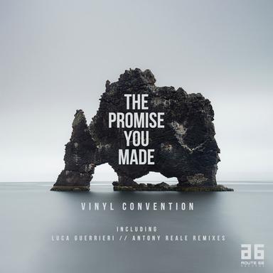 The Promise You Made