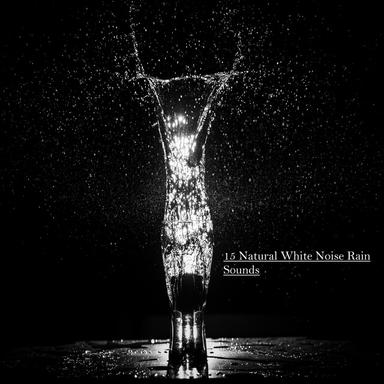 Heavy Rainforest Shower