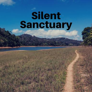 Group Meditation Music, Pt. 9