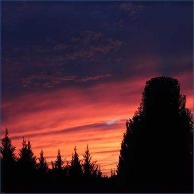 Chimes and the Rain: Set 1