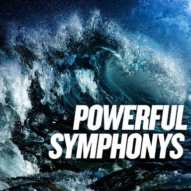 Symphony No. 7 in C Major, Op. 105: Vivace - Presto - Adagio