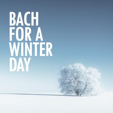 Violin Partita No. 1 in B minor, BWV 1002: 8. Double