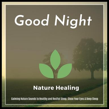 Paschimottanasana - Original Mix