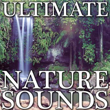 Nature Sounds Ocean 21