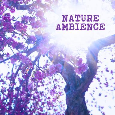 Rain Sleep: Sounds of the Nature