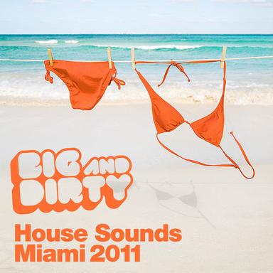 Big And Dirty House Sounds Miami 2011