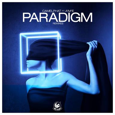 Paradigm (feat. A*M*E) - Peer Kusiv Remix