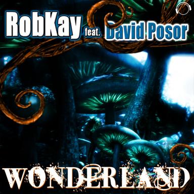 Wonderland - Crystal Rock Remix Edit