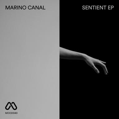 Sentient - Original
