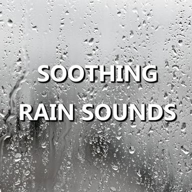 Stunning Dawn Rain Sounds