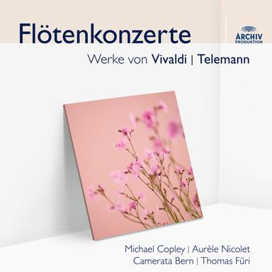 Concerto for Recorder, Flute, Strings and Continuo in E minor: 3. Largo
