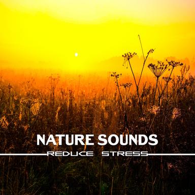 Flute Music