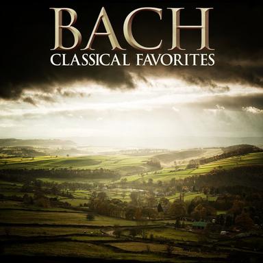 Brandenburg Concerto No. 4 in G, BWV 1049 : 1. Allegro