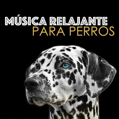Musicoterapia