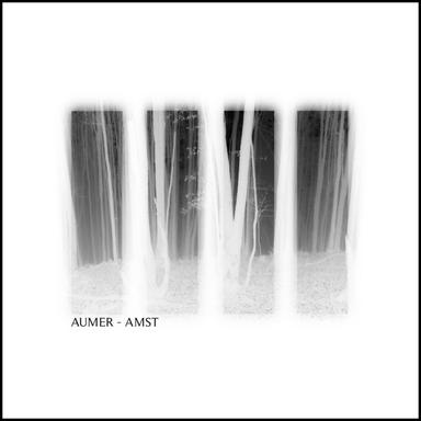 Amst IV